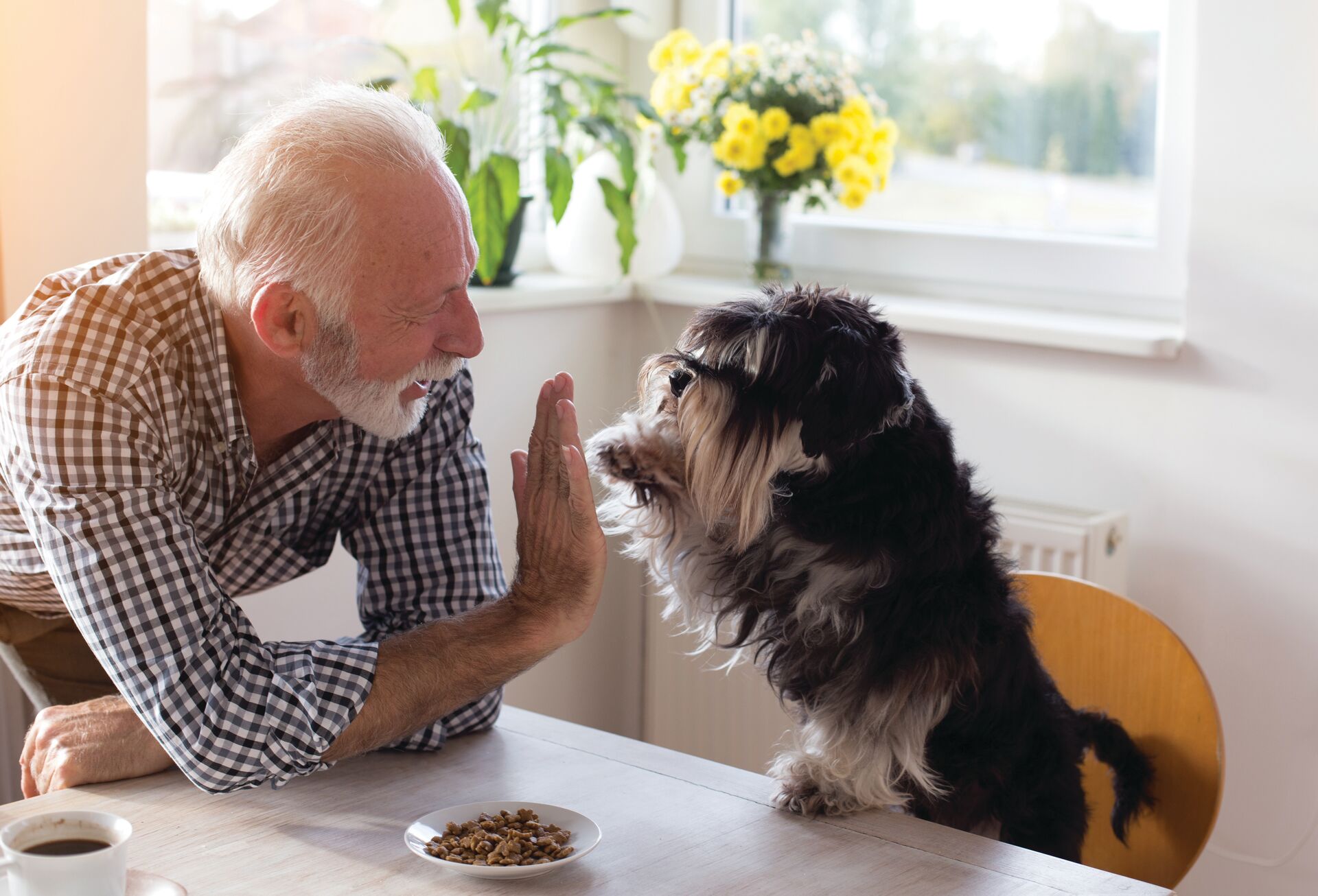 How Senior Living Residents Benefit from Owning a Pet