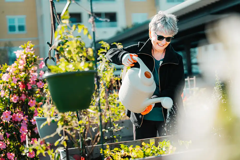 A senior woman waters flowers in a raised garden bed